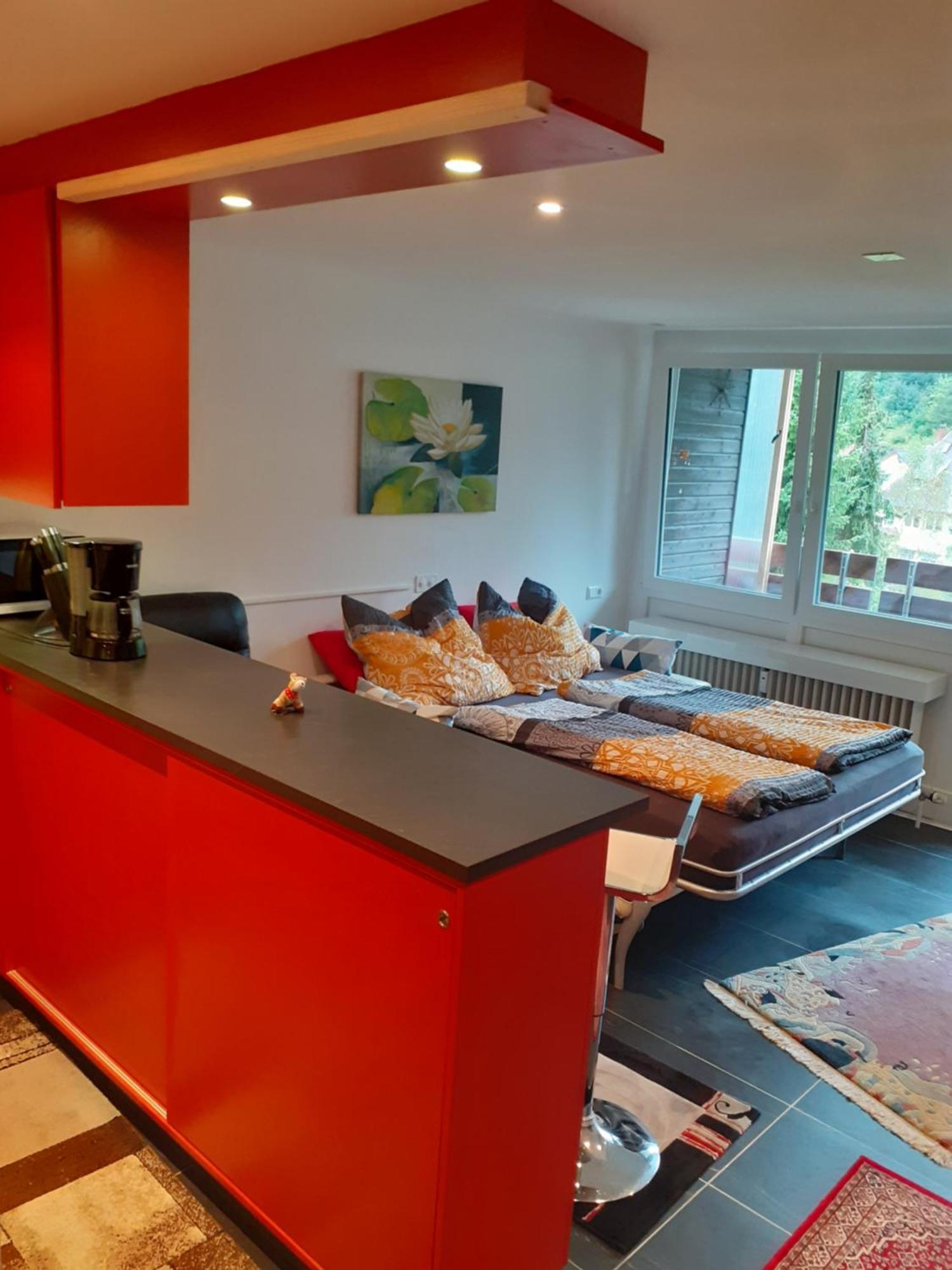 Appartement Beale à Todtmoos Extérieur photo